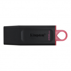 Memoria USB Kingston Technology DTX/256GB